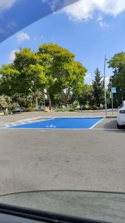 חניית נגישות בצביעה כחולה מלאה